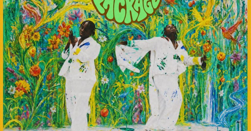 Teni Drops ‘The Wellness Package’ EP and Launches a Bold New Era with Gamma